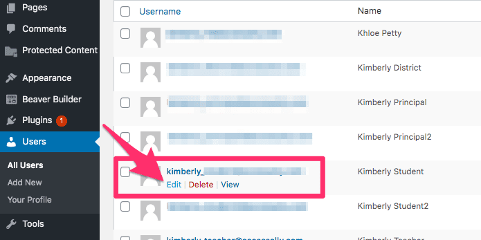 Edit a user in WordPress