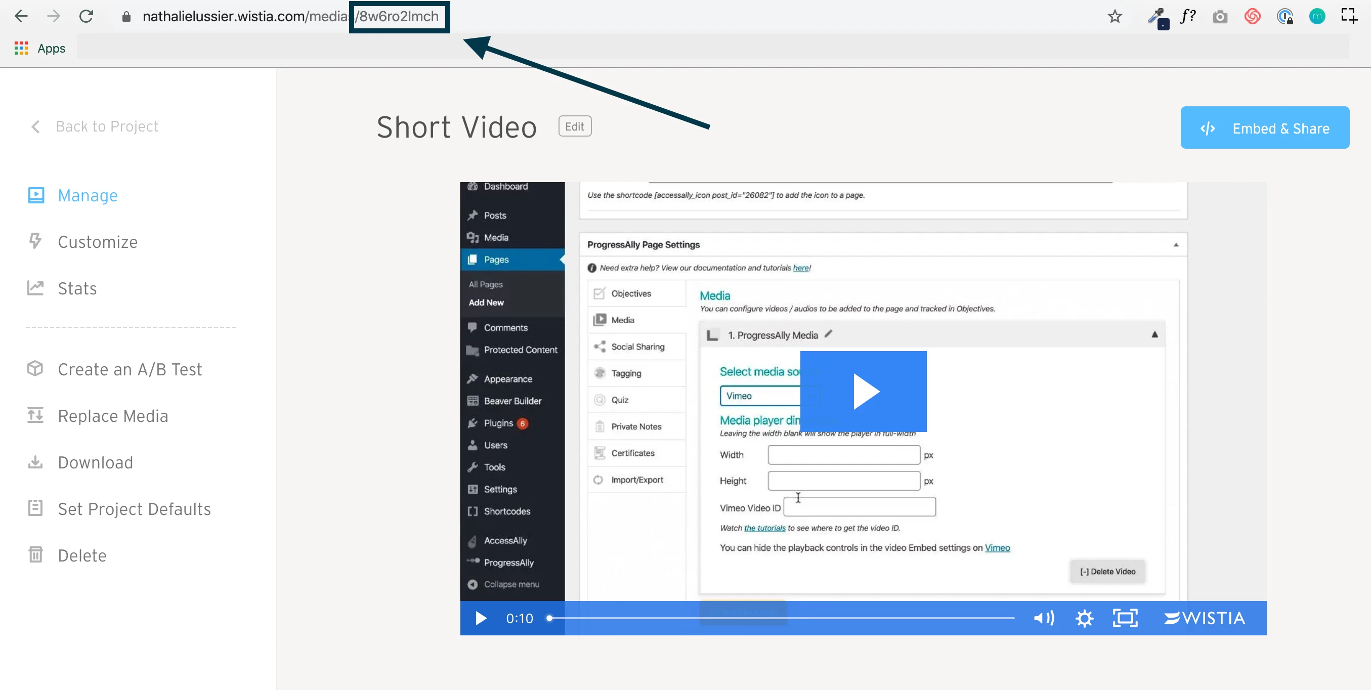 Screenshot of the unique URL string for a Wistia video