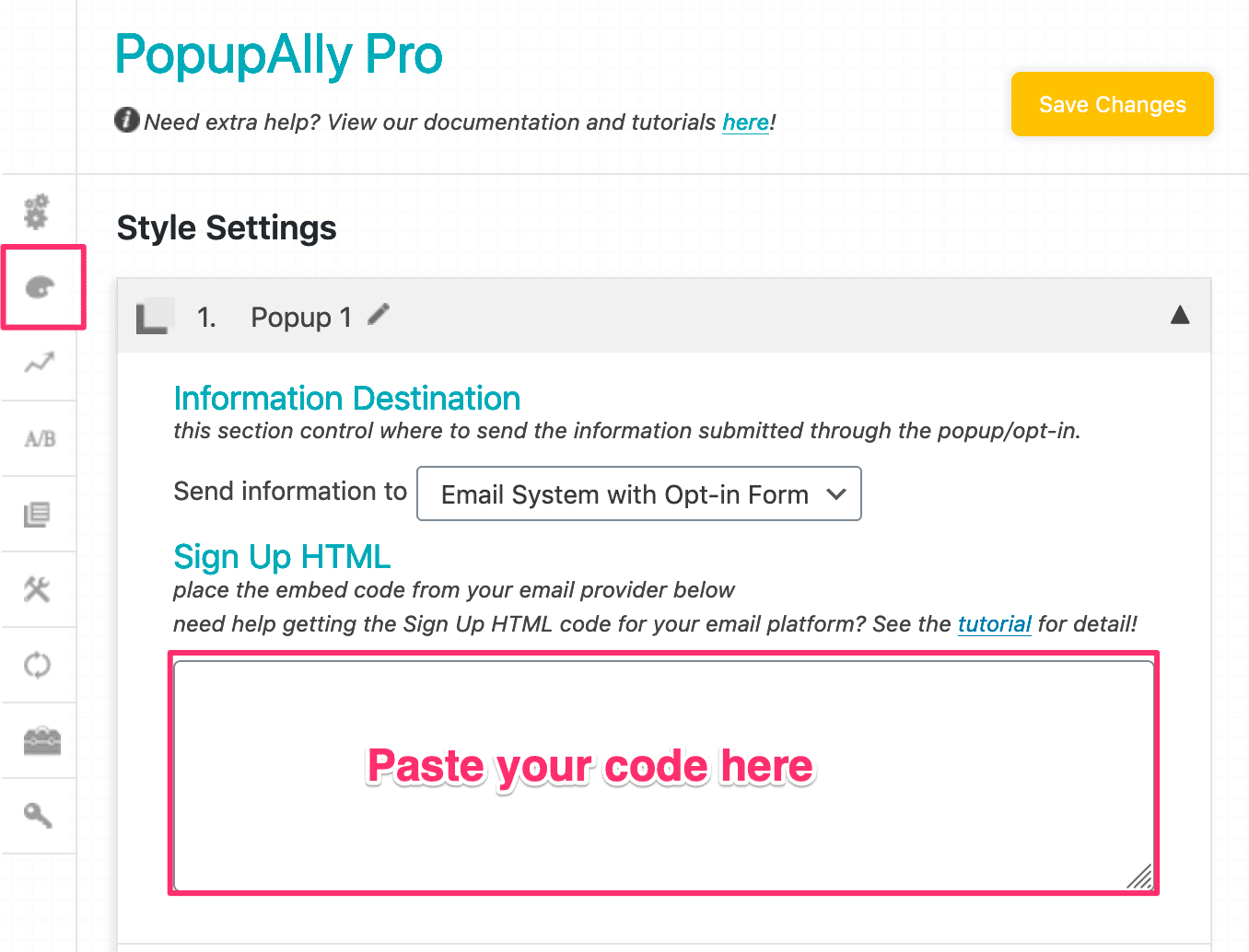 Screenshot of PopupAlly Pro settings of where to paste code