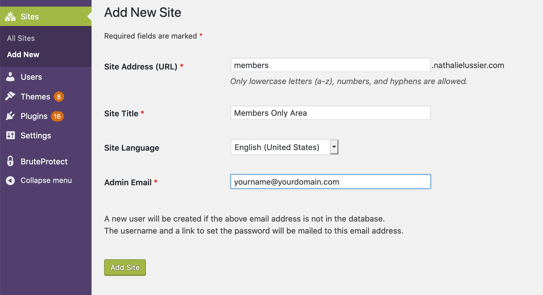 Screenshot of adding a new subdomain to a multisite install
