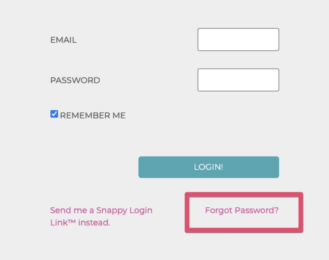 screenshot of the forgot password link