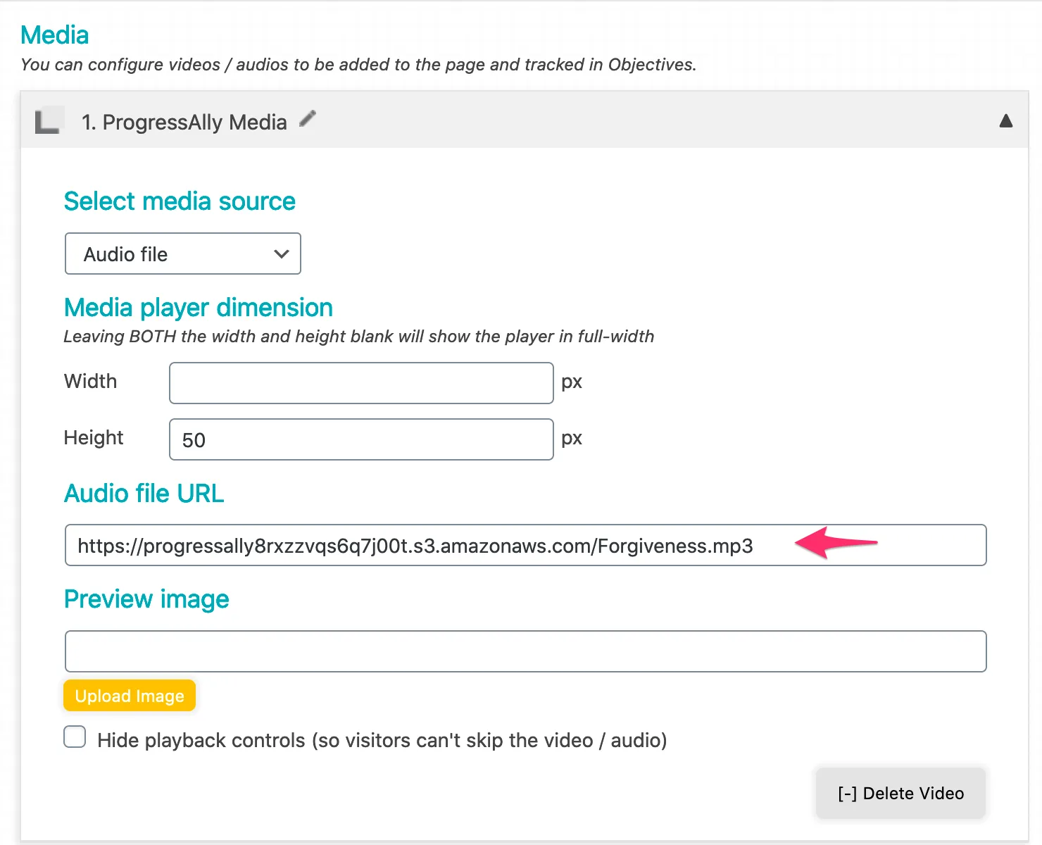 Screenshot of ProgressAlly Media Player Settings