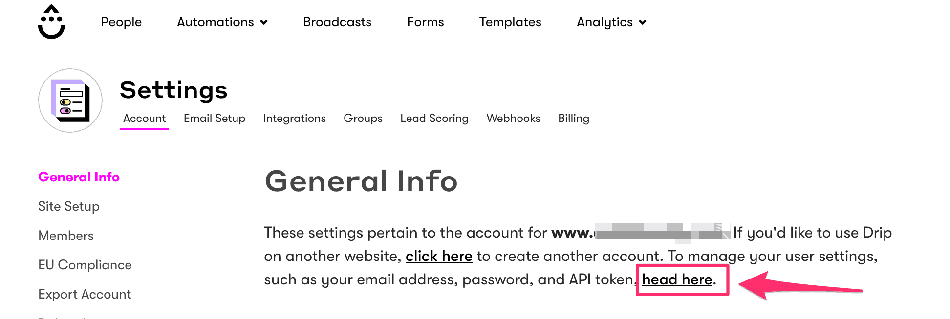 Screenshot of Drip API settings link