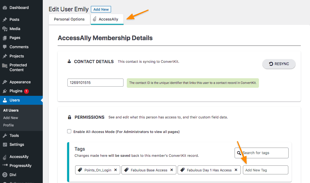 AccessAlly tab in Users Panel