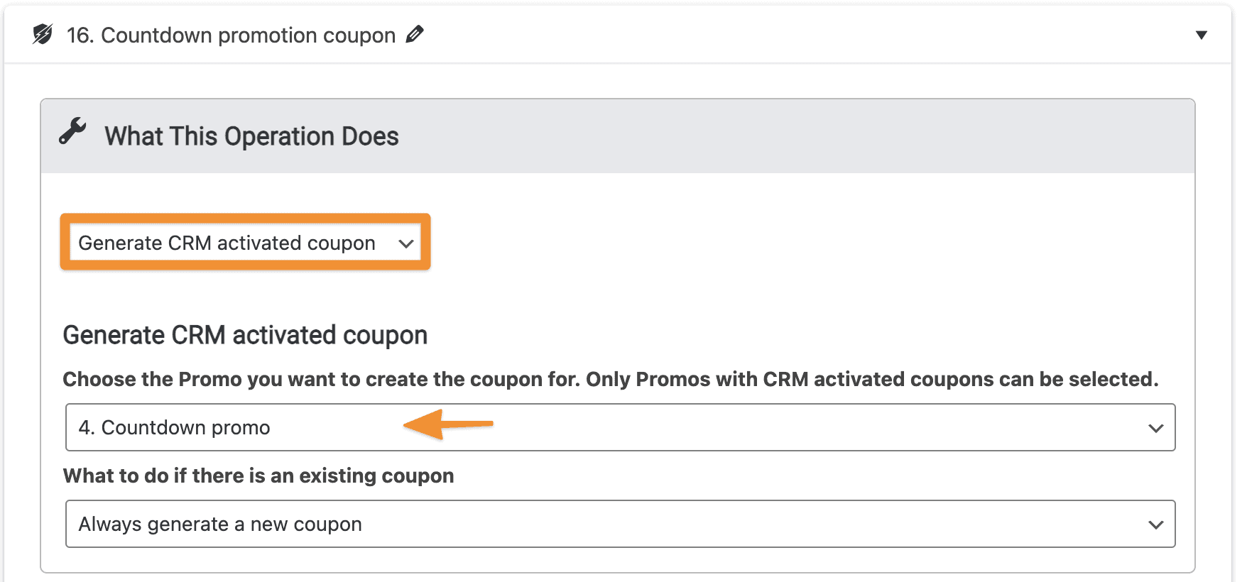 Screenshot of generating coupon custom operation