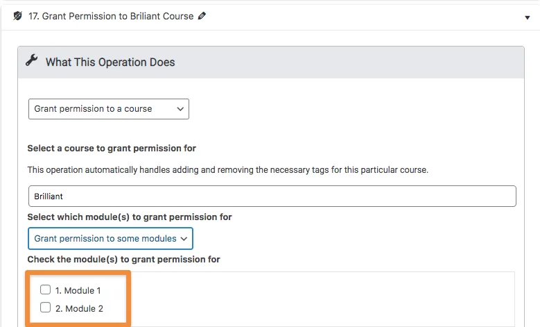 Grant Permission to Some Modules