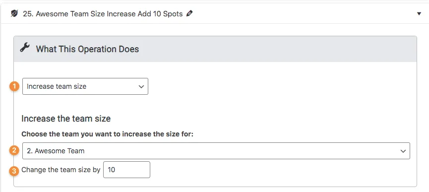 Increase Team Size