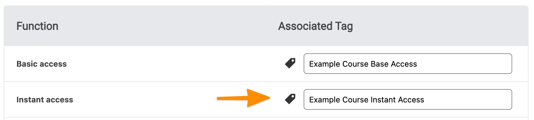 Screenshot of instant access tag