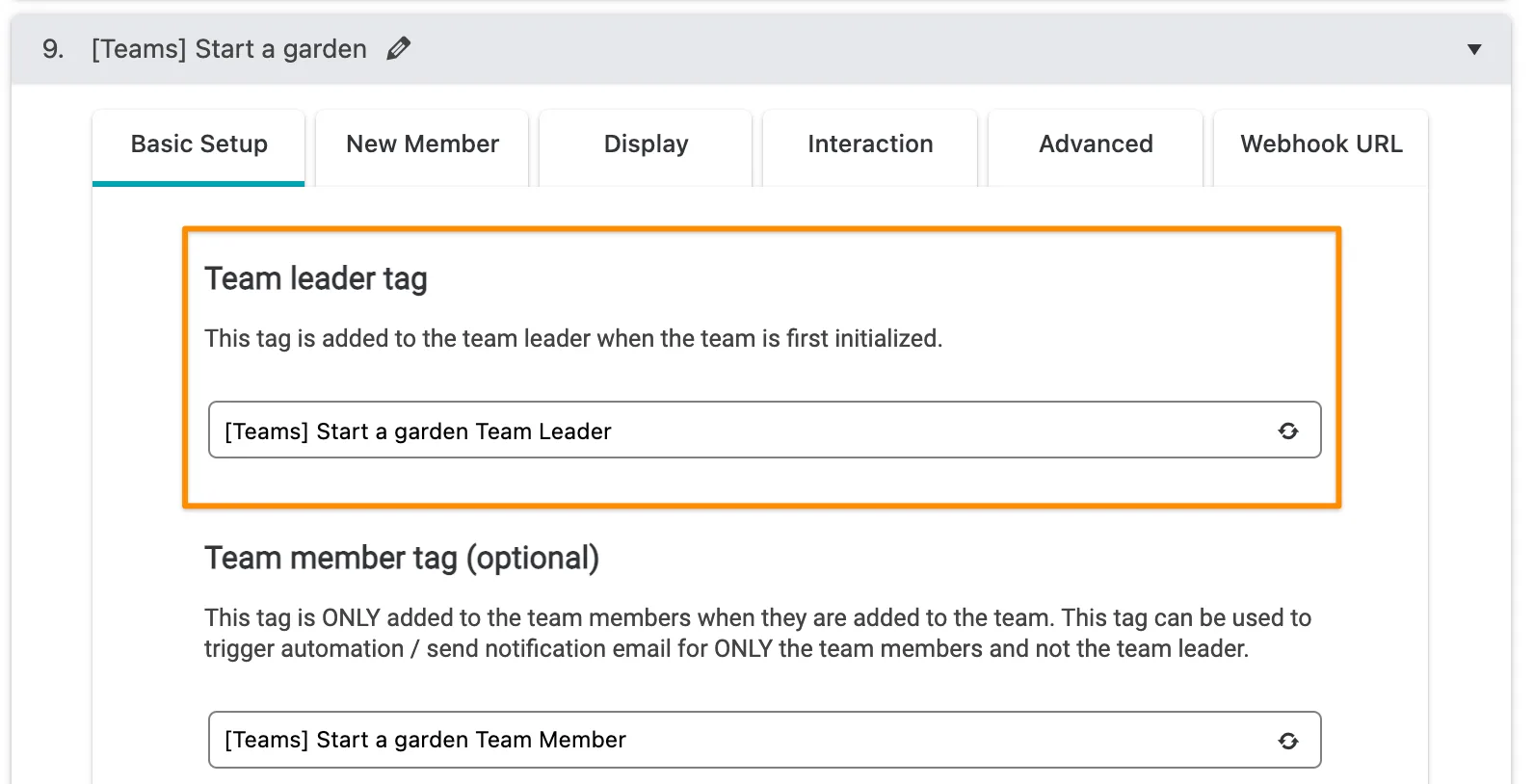 Screenshot showing where to find the team leader tag under AccessAlly Teams