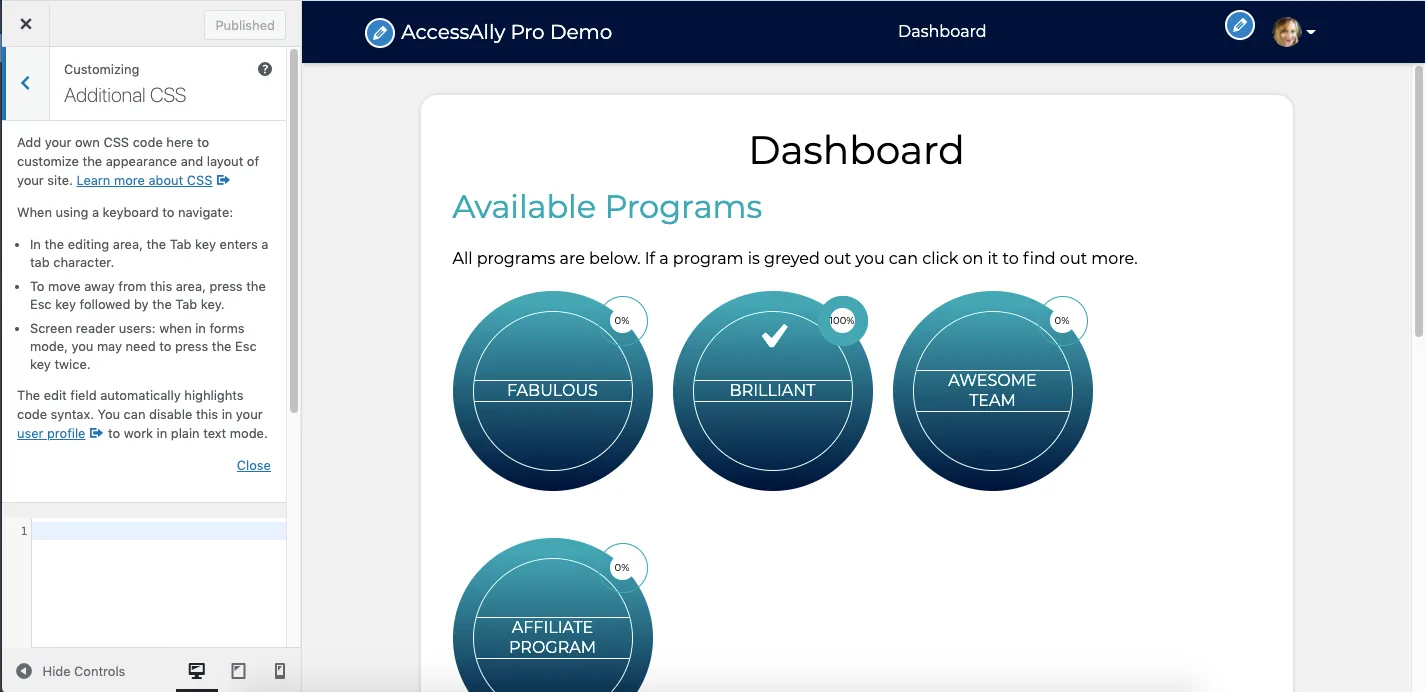 CSS Settings AccessAlly Theme
