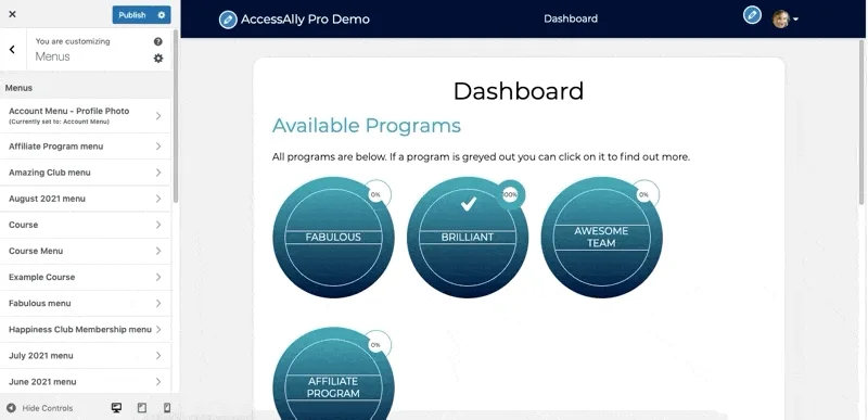 Menus AccessAlly Theme
