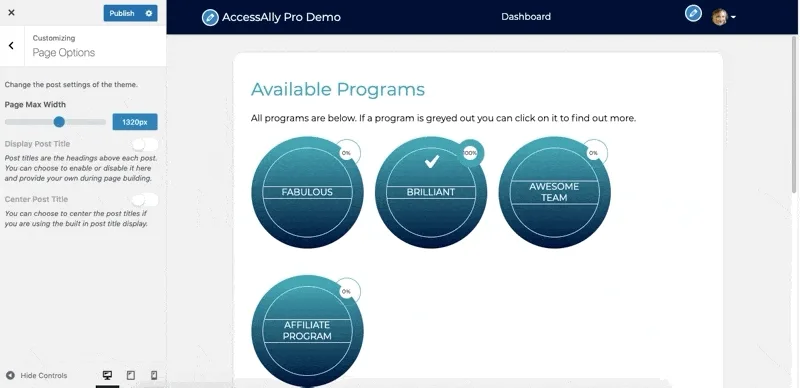 Page Options AccessAlly Theme