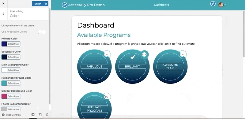 Colors in the AccessAlly Theme