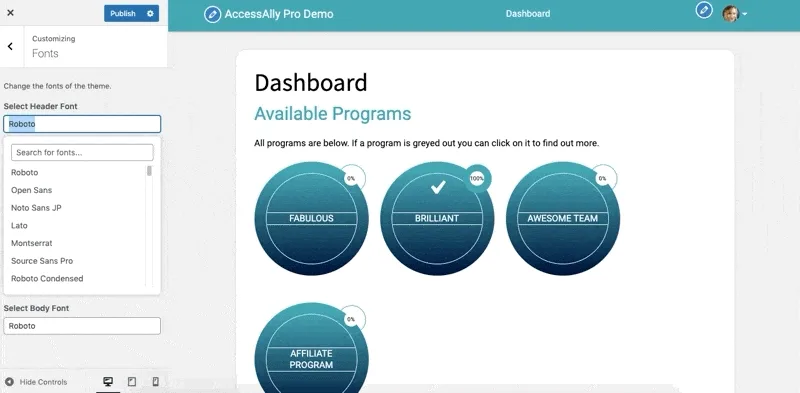 Site Fonts AccessAlly Theme