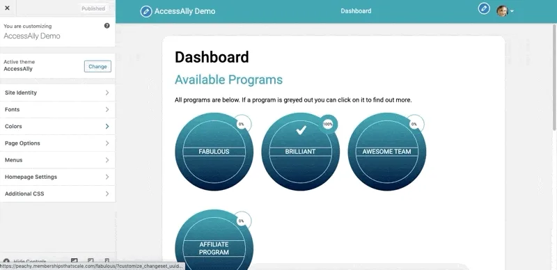 Site Identity AccessAlly Theme