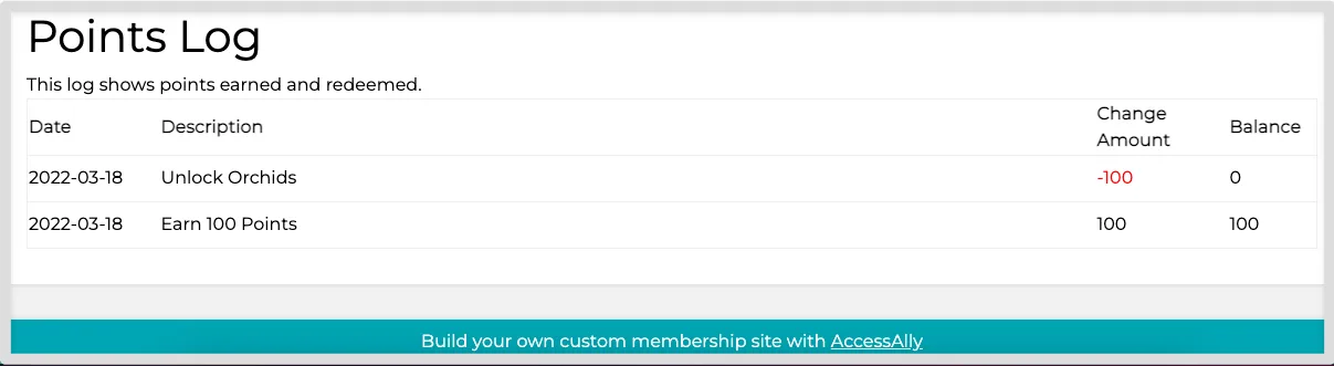 AccessAlly Points Log Image