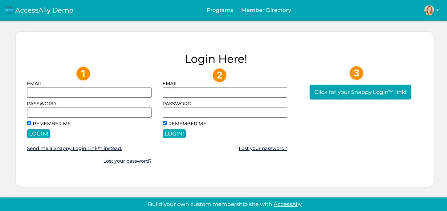 Login Widget Options
