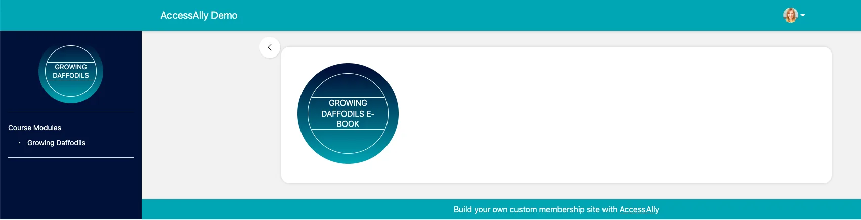 Daffodils E-Book View