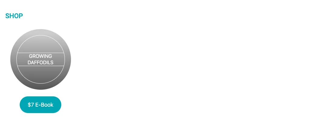 Logged Out Shop View