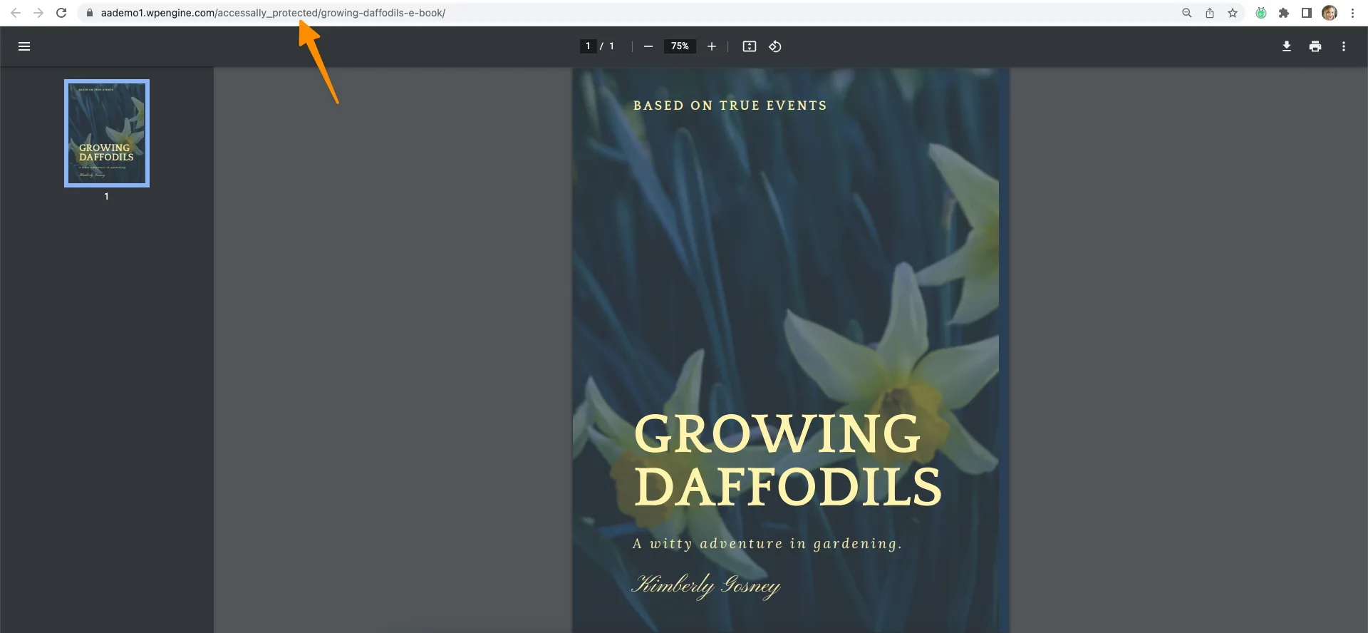 Protected Content Link