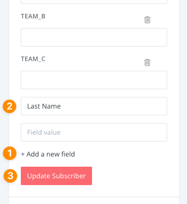 Add Custom Field