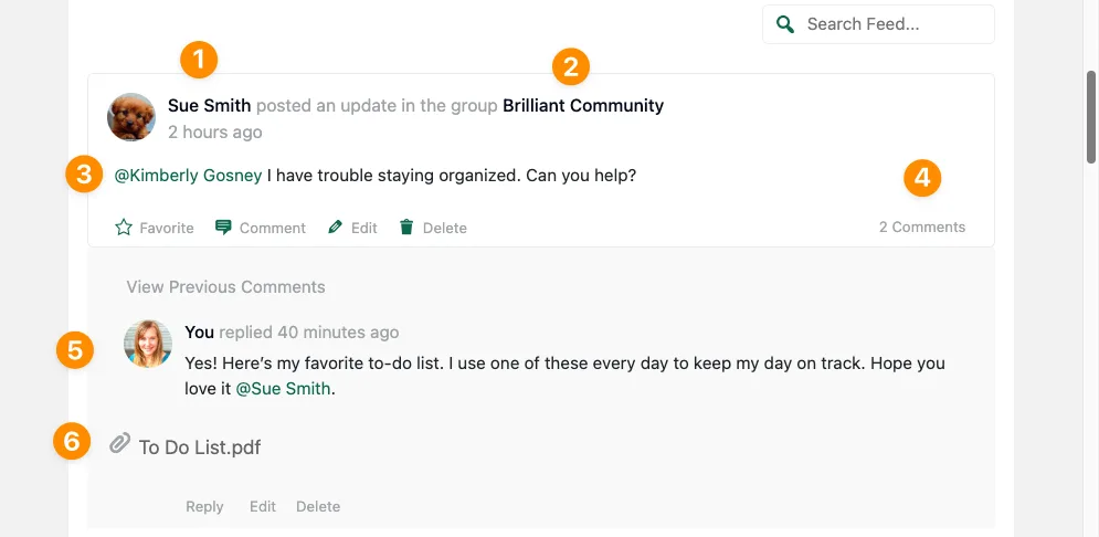 Feed Segments Overview