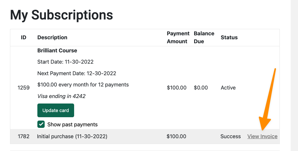 View Invoice