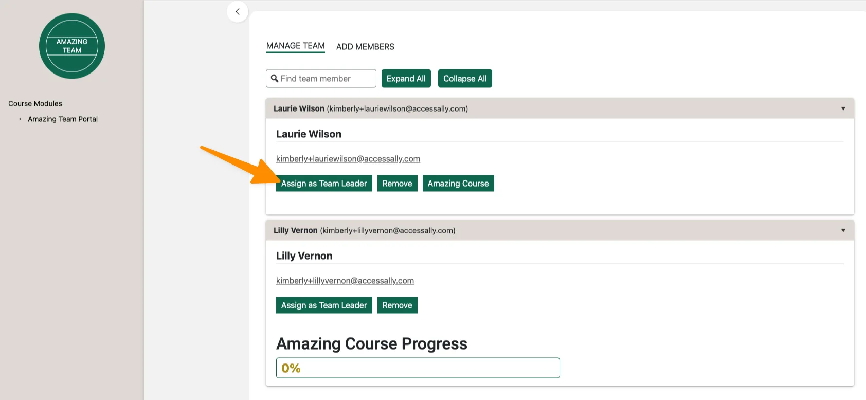 Promote to team leader