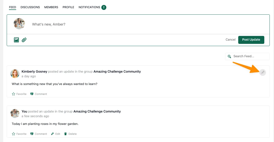 Example Pinned Post Member View