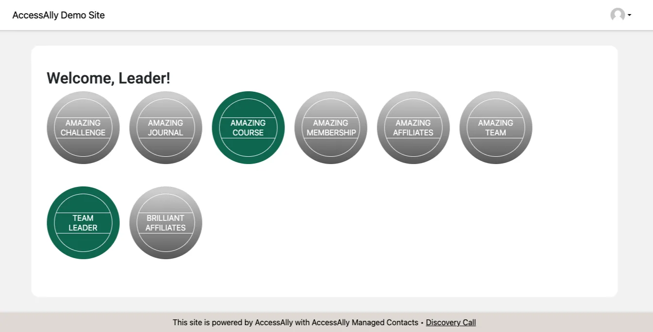 Leader Dashboard view