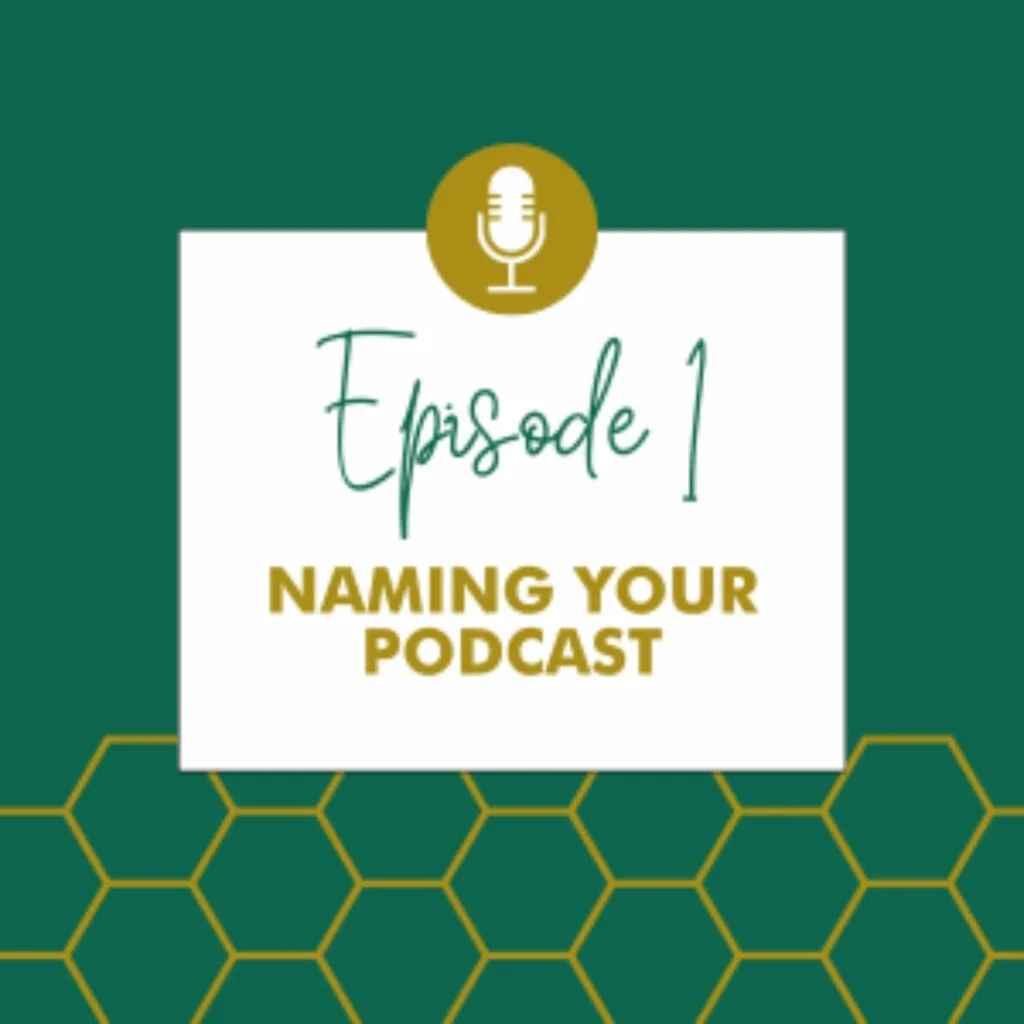 Example of Podcast Episode Art