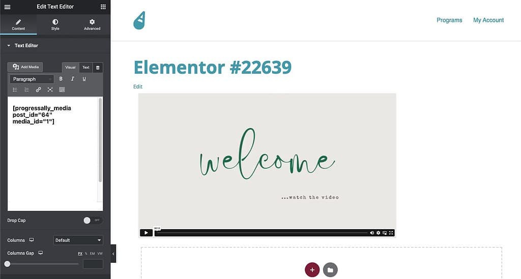 Elementor Video Added