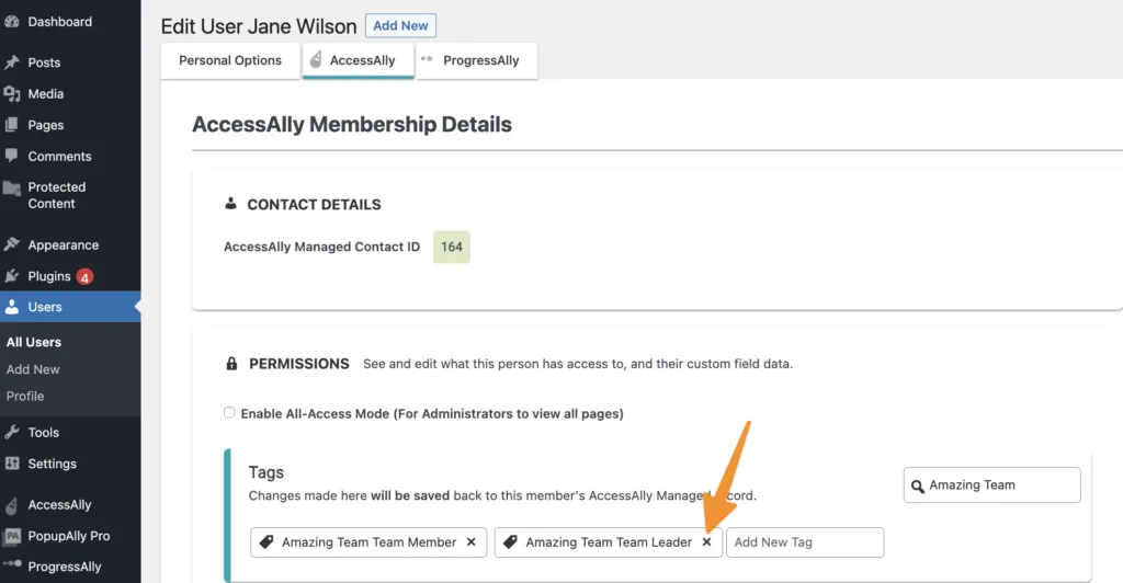Delete Team Leader Tag