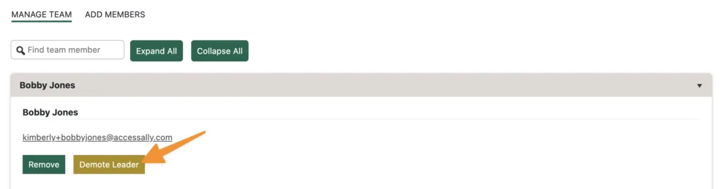 Demote Leader Button