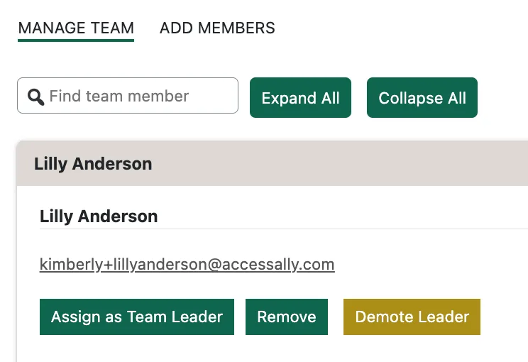 Example Promoted Leaders