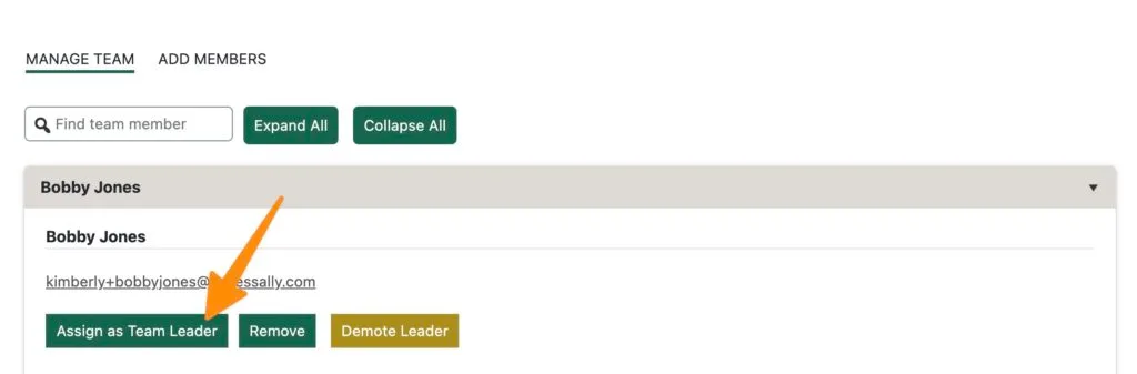 Promoted Leader Button