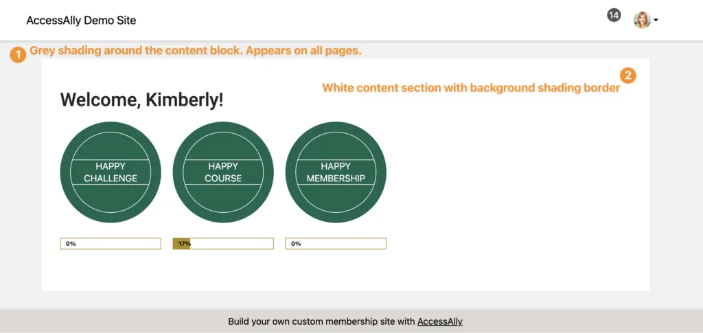 Default AccessAlly Theme Content Section
