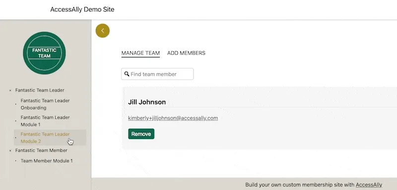 AccessAlly Sidebar Team Leader in AccessAlly | KB AccessAlly
