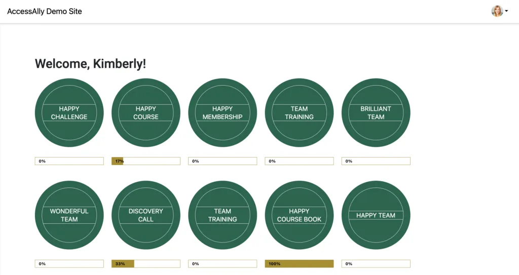 Example Home Dashboard Page with AccessAlly