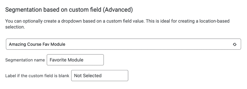 Segmentation in directory filter by custom field
