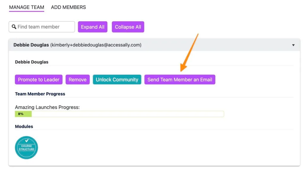 Sending a team member an email in AccessAlly
