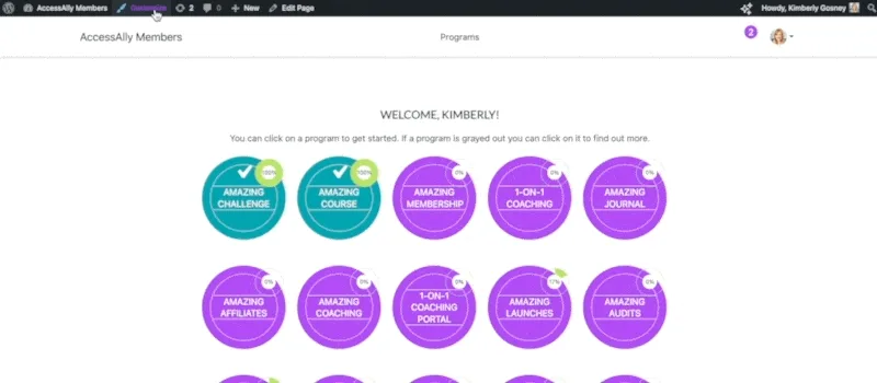 CSS in AccessAlly Theme